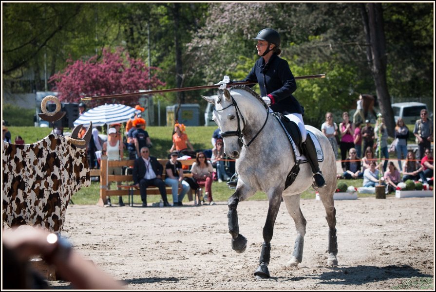 Pferd International 053